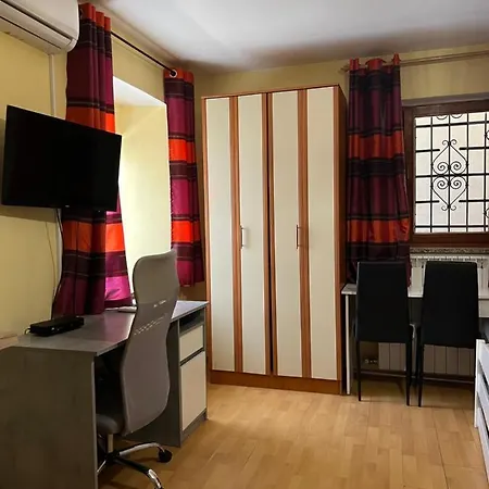 Studio Ruza 招待所